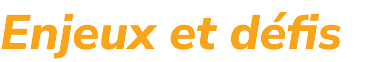 Enjeux et d fis